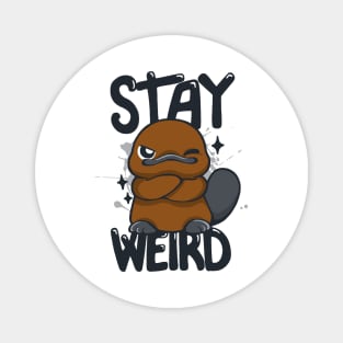 Stay Weird Magnet